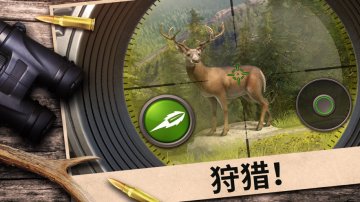 Hunting Clash攻略，禮包碼，礼包码，虛寶，序號